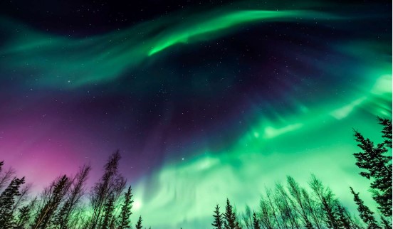 DLB - Northern Lights from Abisko National Park tile